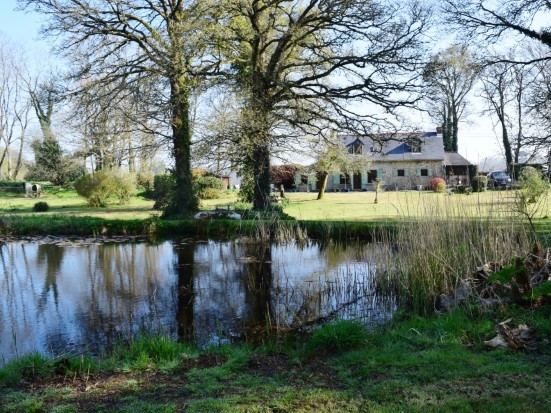 Maison 5 Pièces + Etang + 2,6 Hectares 56160 Langoëlan